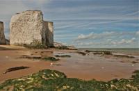 Botany Bay by Dorothy Reid